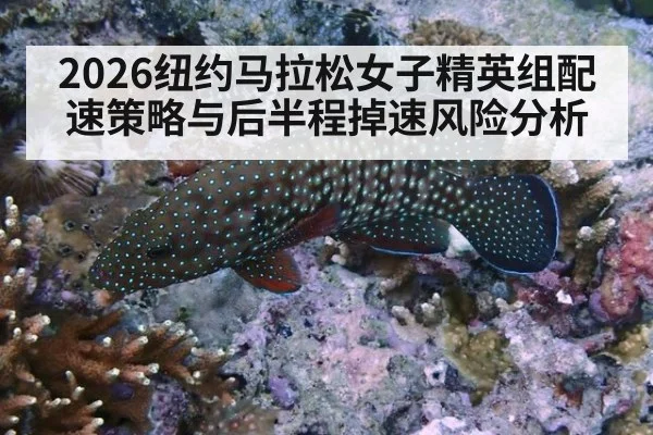 2026纽约马拉松女子精英组配速策略与后半程掉速风险分析 - jiuyouhui